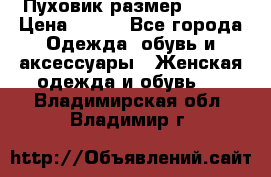 Пуховик размер 42-44 › Цена ­ 750 - Все города Одежда, обувь и аксессуары » Женская одежда и обувь   . Владимирская обл.,Владимир г.